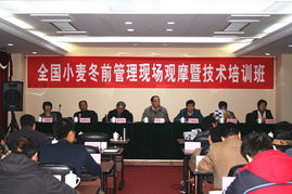 技術推廣服務中心 驅動創新與發展的關鍵橋梁